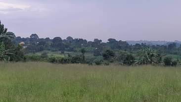 A picture of Plots