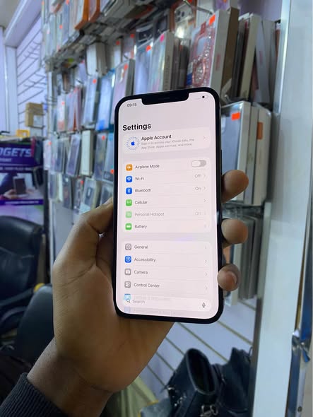 A picture of iPhone 12 Pro Max