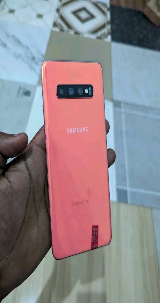 A picture of S10
