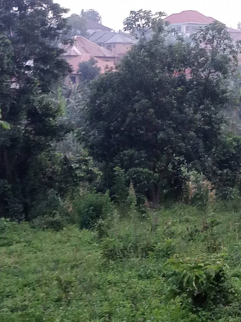 A picture of Quick sale 4units single rooms fully occupied income 400k 45m