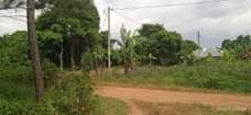 A picture of Wakiso Namayumba