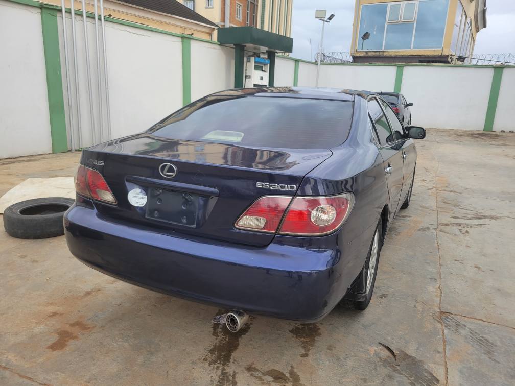 A picture of Neatly used Lexus 2004 model