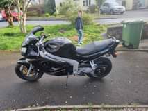 triumph motorcycles