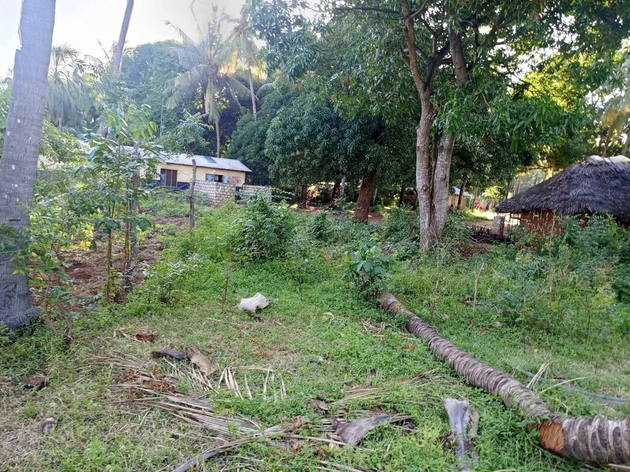 A picture of Cheapest lands and beach plots within MALINDI KILIFI COUNTY an