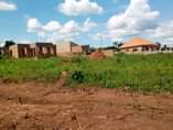 A picture of PLOT ON QUICK SALE 3M LOCATED MATUGGA KIWEBWA MANZE SIZE40X30FT