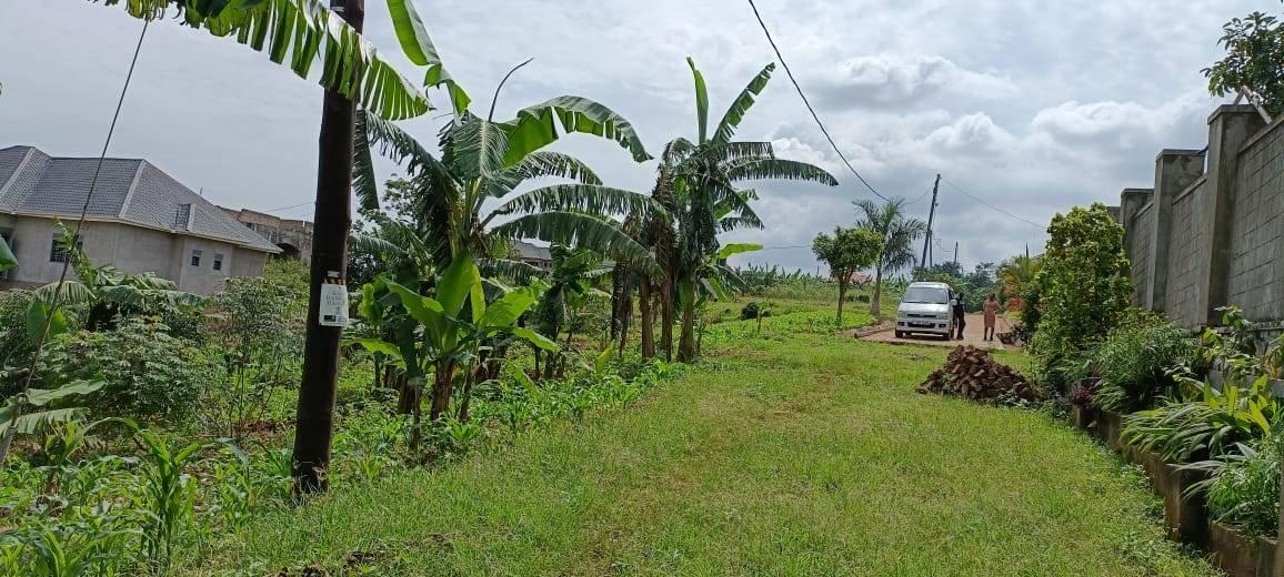 land