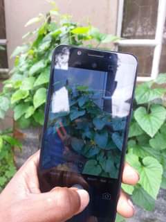 oppo a83