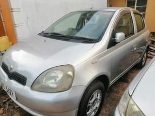 A picture of Vitz