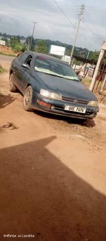 A picture of 4m 0743386797
