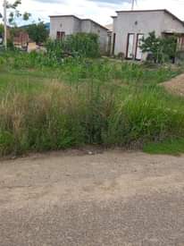 property budiriro