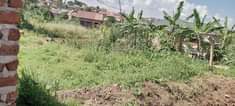 A picture of 50 45feet Along kajjansi Munyonyo bypass