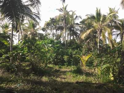 A picture of NAUZA KIWANJA KIPO KIBAHA KONGOWE UMBALI KILOMITA MOJA KUTOKA MOROGORO
