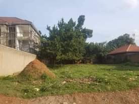 A picture of Land