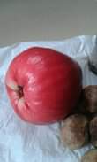 A picture of Malay Apple is an amazing tropical apple from Malaysia but