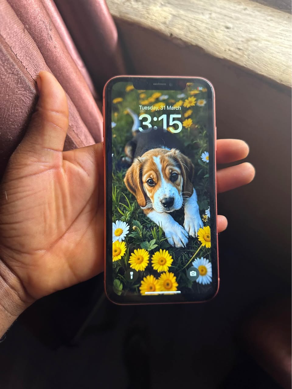 A picture of iPhone XR