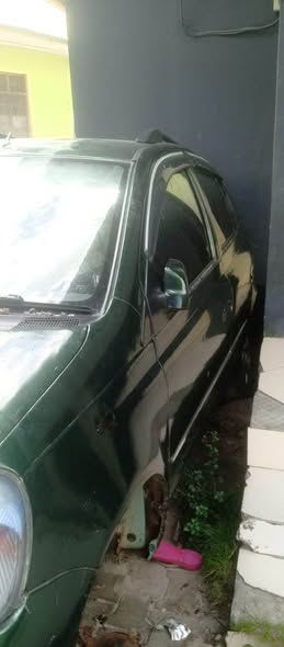 A picture of Vitz
