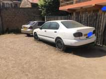 nissan primera