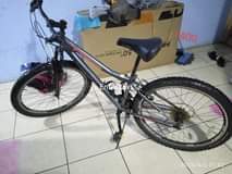 Thocco M.