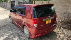A picture of RUMION FOR SELL