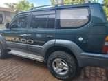 A picture of TX pardo Petro