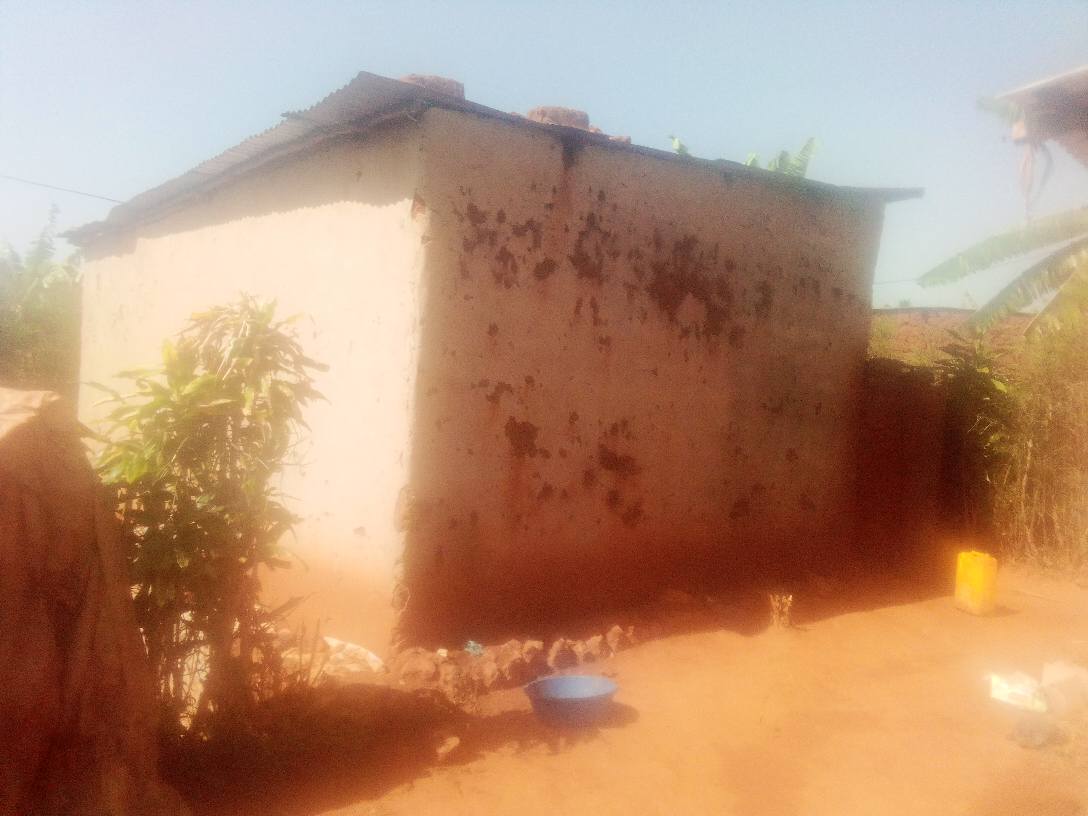 houses for sale