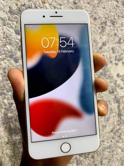 A picture of iPhone 8 plus bypass