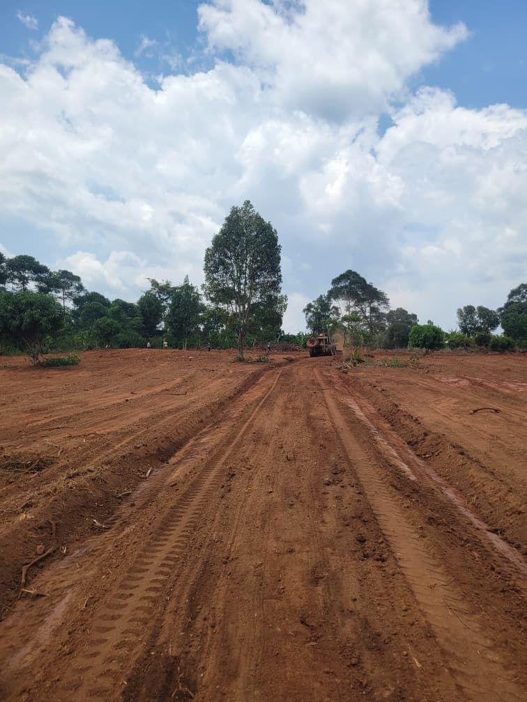 A picture of Titled plot at 7M