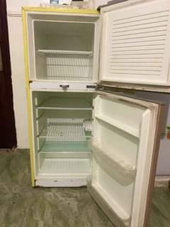 A picture of Nexus standing fridge freezer for sale