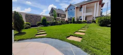 grass