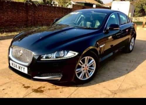 jaguar