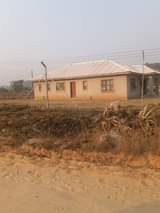stands
