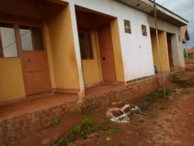 A picture of 4 single rooms with stores for sale at nansana kawoko