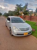 used toyota allion