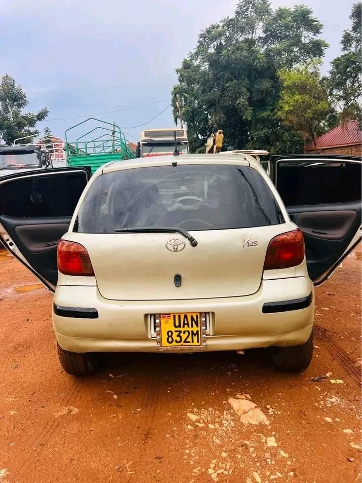 A picture of Vitz