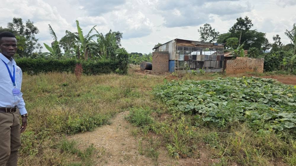 A picture of 0709106274 PLOTS 6 5M UGX 50X100FT FREE INSPECTIONS PLOTS ARE