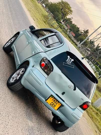 A picture of Vitz