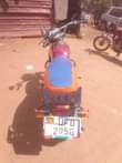 A picture of UG BOSS FOR SALE 1 8M Call or Whatsapp 0756911039