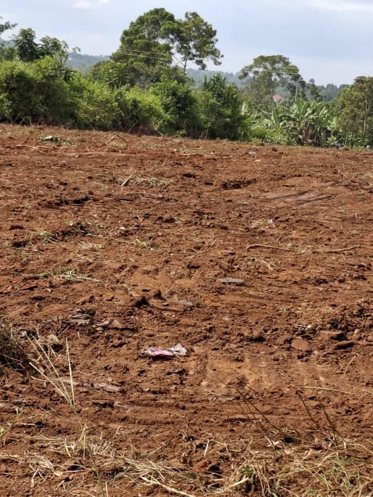 uganda plots