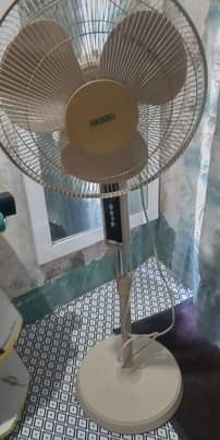 A picture of Feni Brand usha used