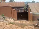 A picture of rentals for sale in Makindye at 96M. They are 4double