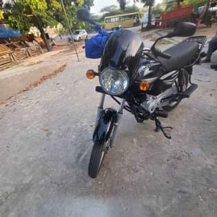 A picture of Boxer cc125