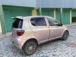 A picture of Vitz hiyooooo