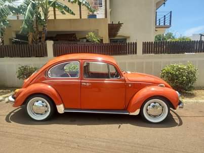 vw beetle