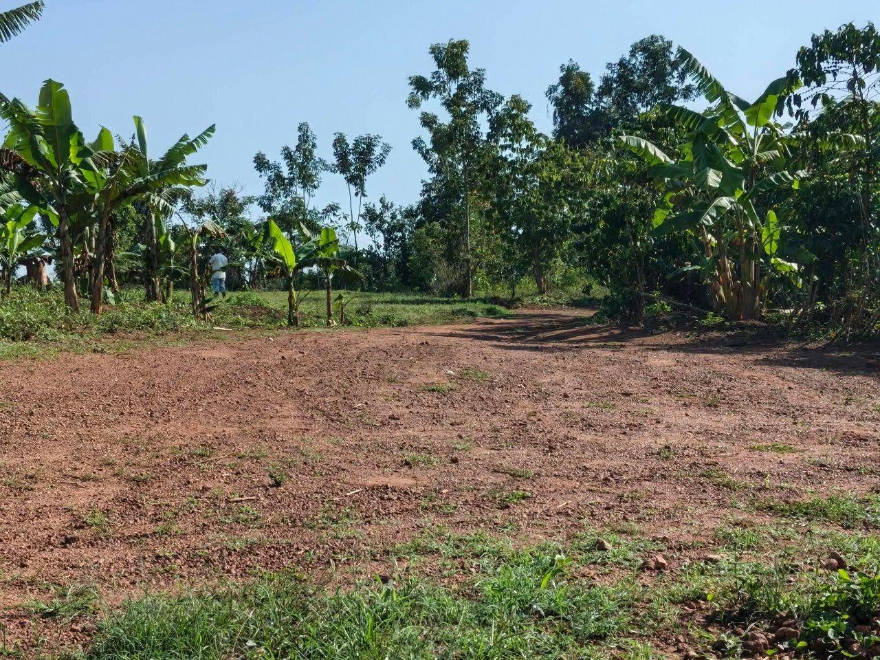 A picture of Acres of Land