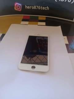 Apple H.
