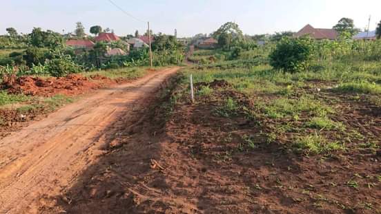 A picture of Plots on sale near the city centre from just 5m..