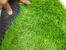 grass
