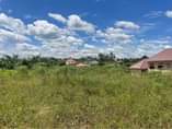 A picture of Plots at 25m KiwendA