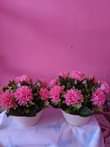 A picture of Artificial flowers zinapatikana.