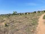 A picture of VIWANJA BAGAMOYO KEREGE